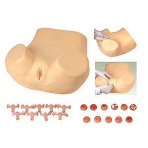 The purpose of the advanced gynecological examination model